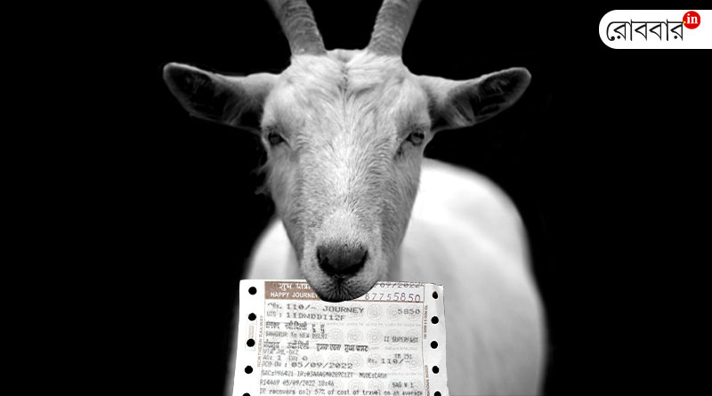 A woman bought a ticket for a pet goat on the local train। Robbar