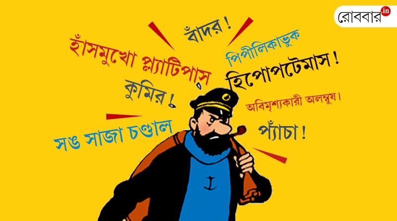 an article about captain haddock on herge birthday। Robbar