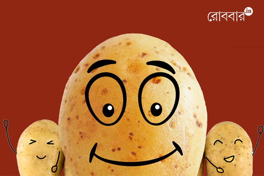 Ultimate Potato Guide for Food Lovers। Robbar