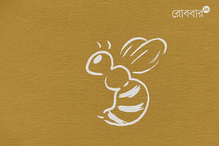An article about bee and its importance from the perspective of environment by Nilanjan Mishra