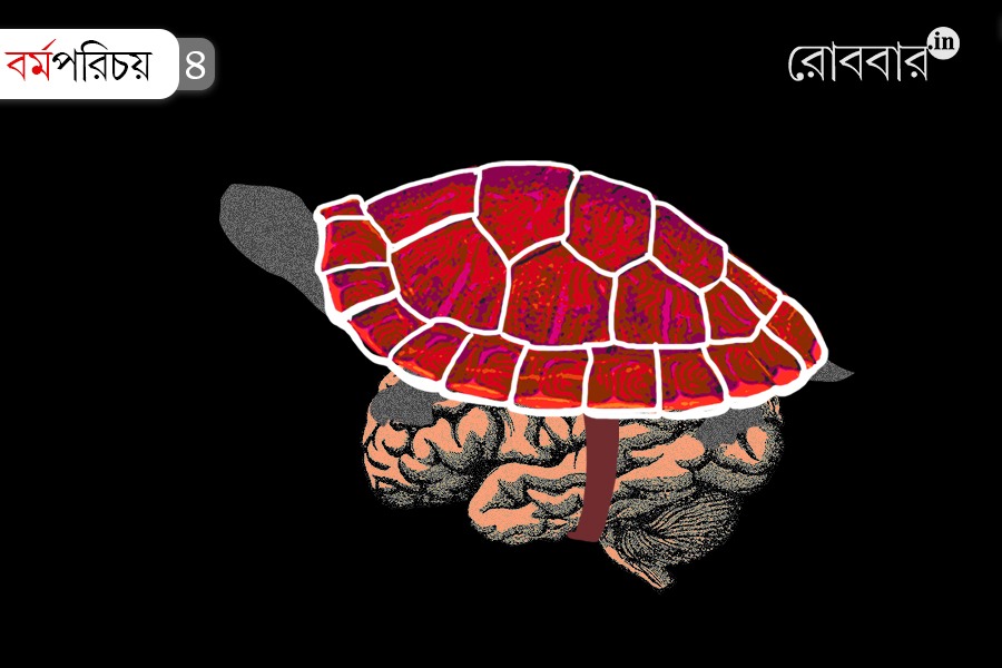 An article about the psychological shield some people need for the protection of their mind | Robbar