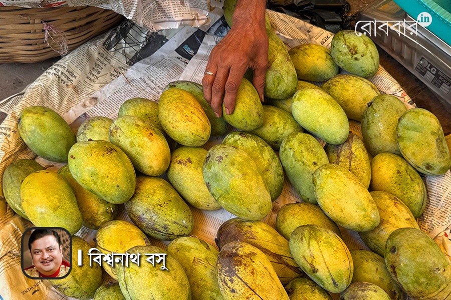 Biswanath Basu reminisces about mangoes