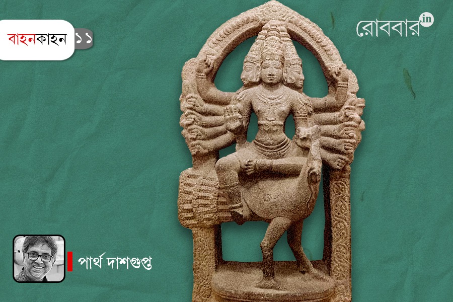 partha-dasgupta-written-bahonkahon-episode-11-about-peacock | Robbar