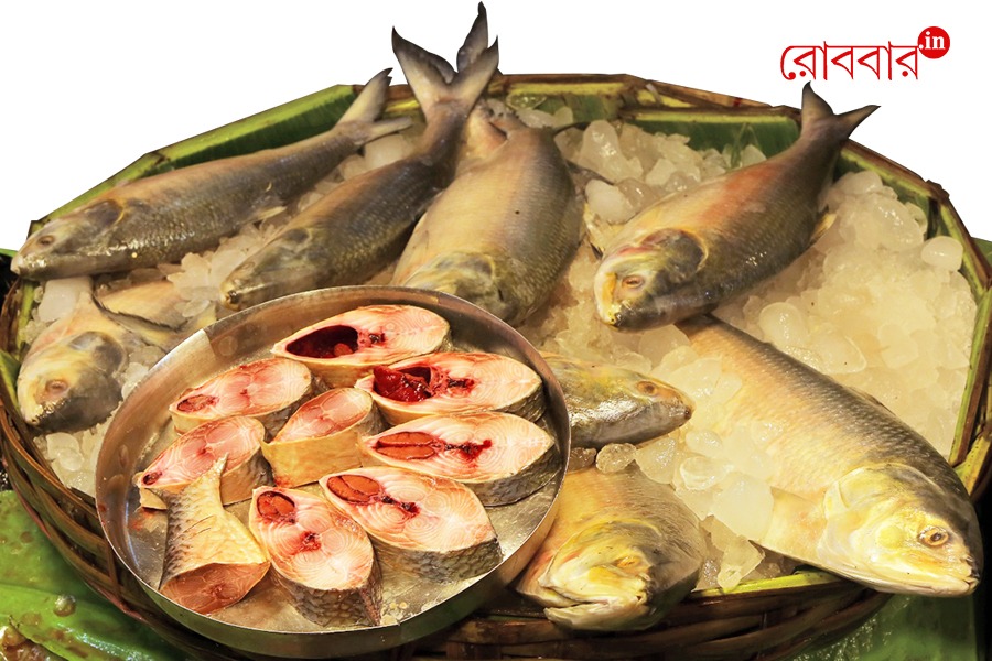 An article about the history of fish-lover bengali and hilsa | Robbar