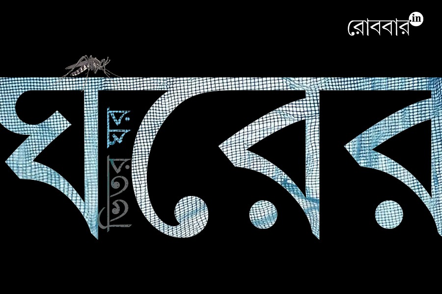 An Article on Mosquito Nets and use in Society by Sampriti Chakraborty। Robbar
