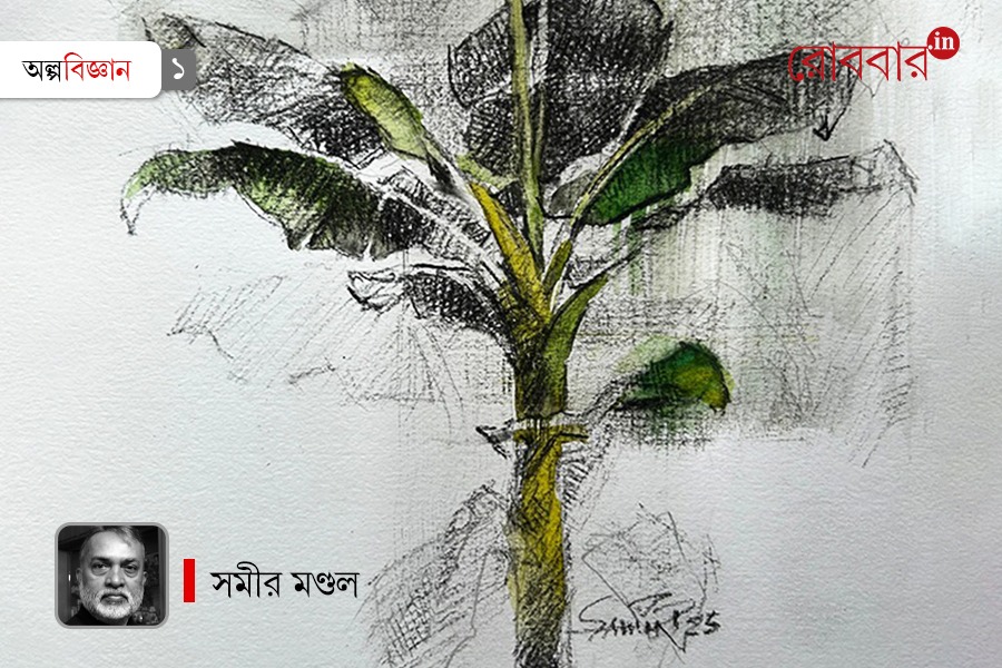 What is Art: A thing or an Idea by Samir Mondal। Robbar