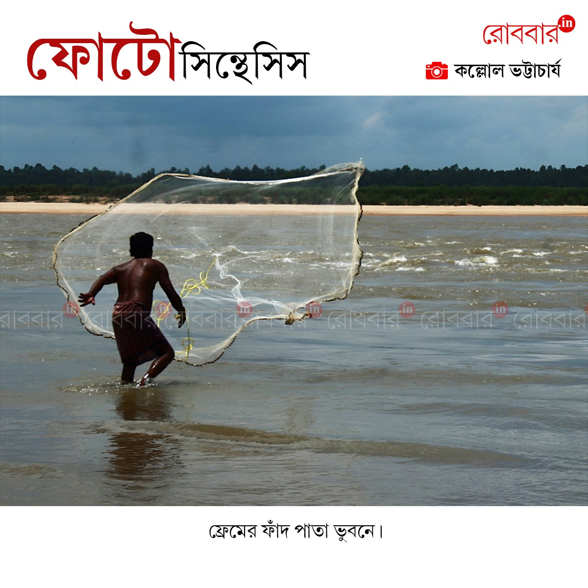 ফোটোসিন্থেসিস-827