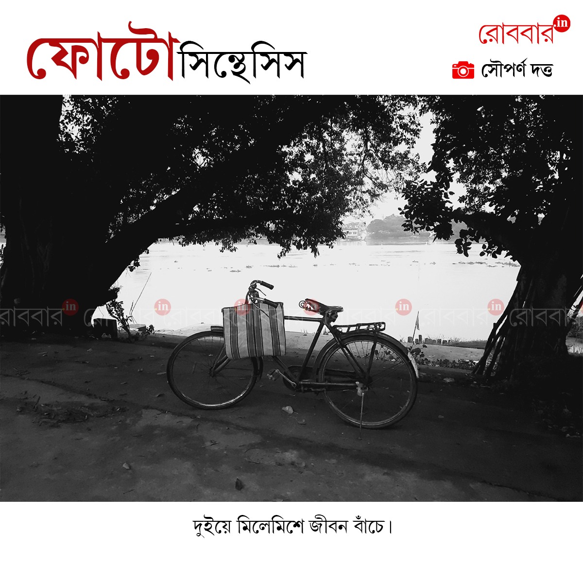 ফোটোসিন্থেসিস-828