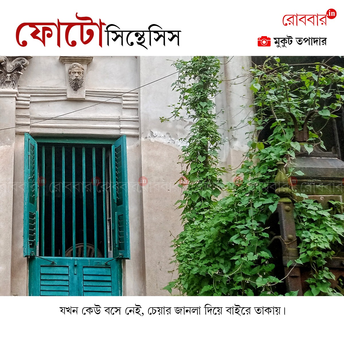 ফোটোসিন্থেসিস-832