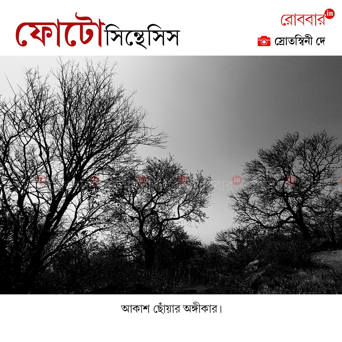 ফোটোসিন্থেসিস-833