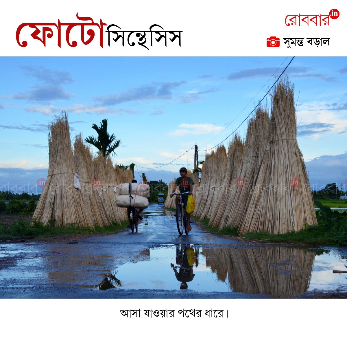ফোটোসিন্থেসিস-834