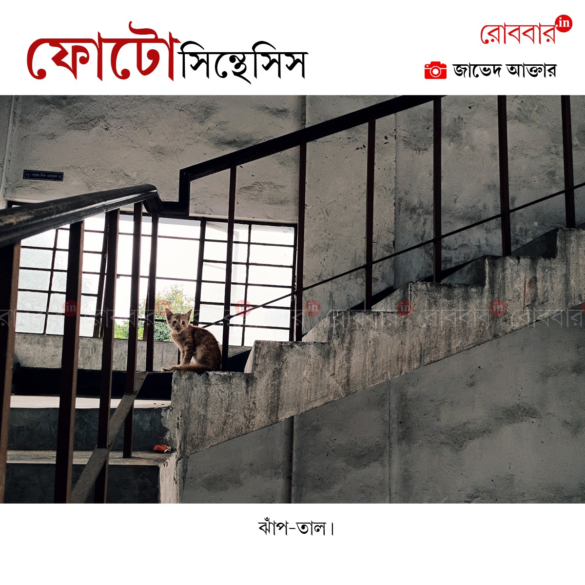 ফোটোসিন্থেসিস-835