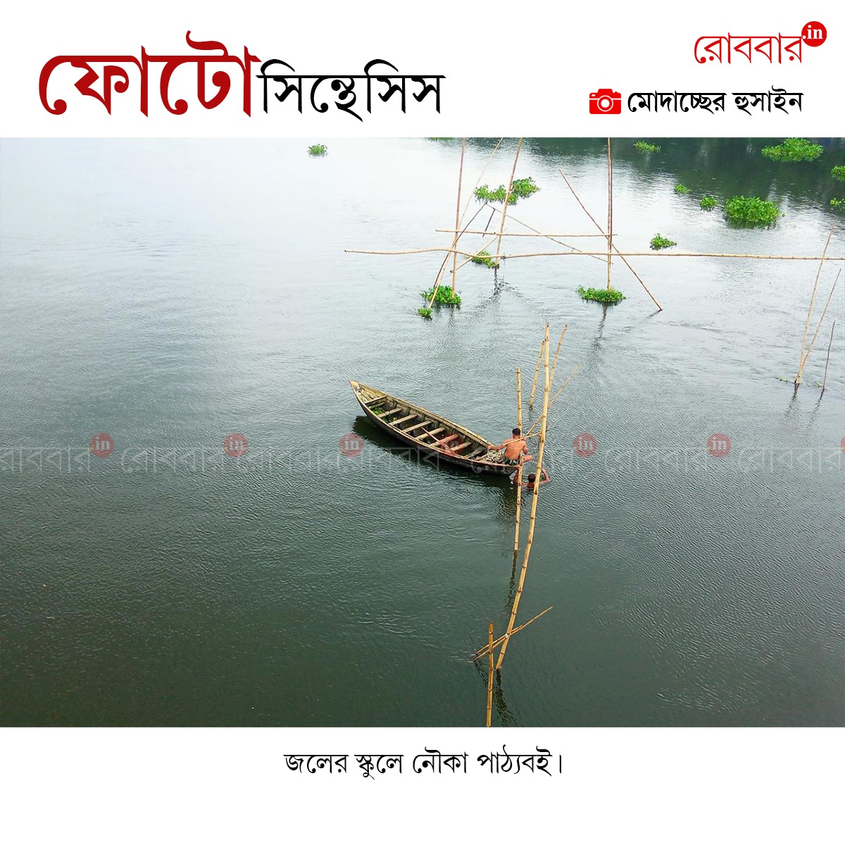 ফোটোসিন্থেসিস-839