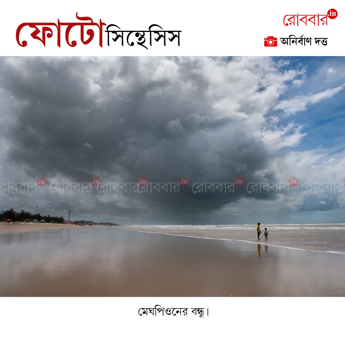 ফোটোসিন্থেসিস-840