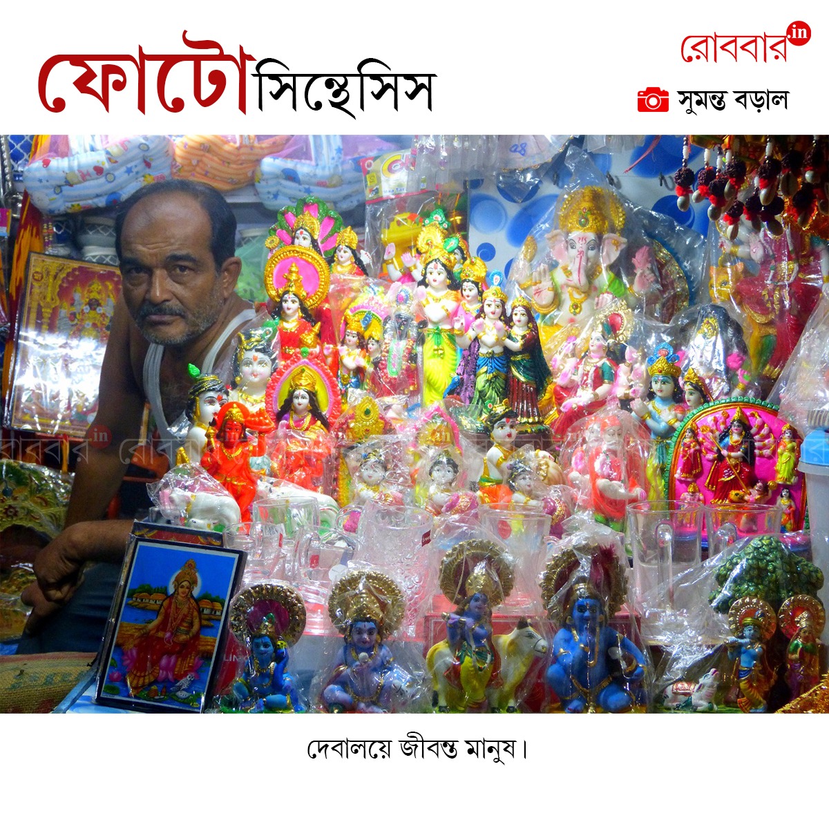 ফোটোসিন্থেসিস-841