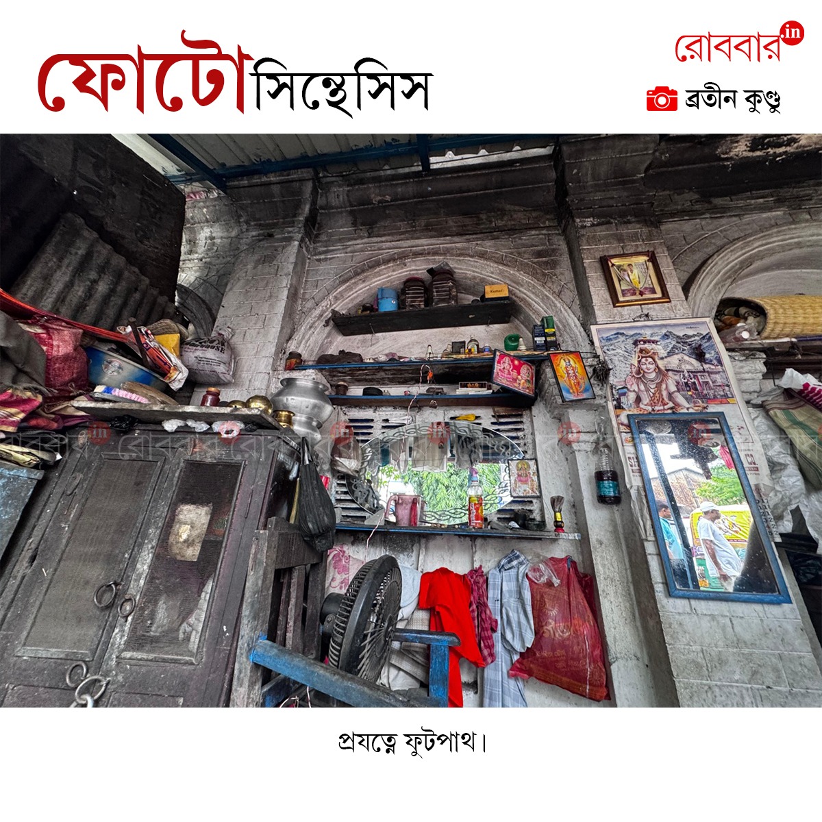 ফোটোসিন্থেসিস-842