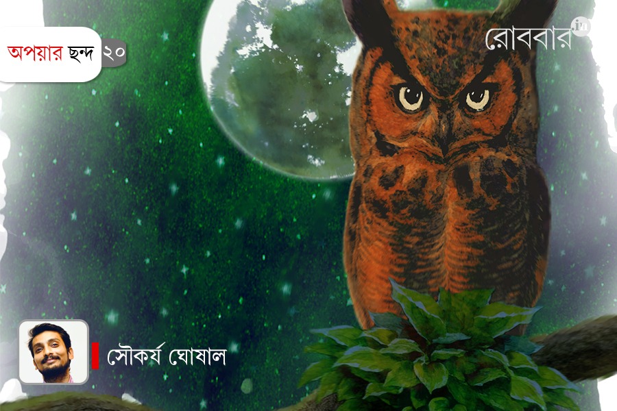 Superstitions and culture about owls। Robbar