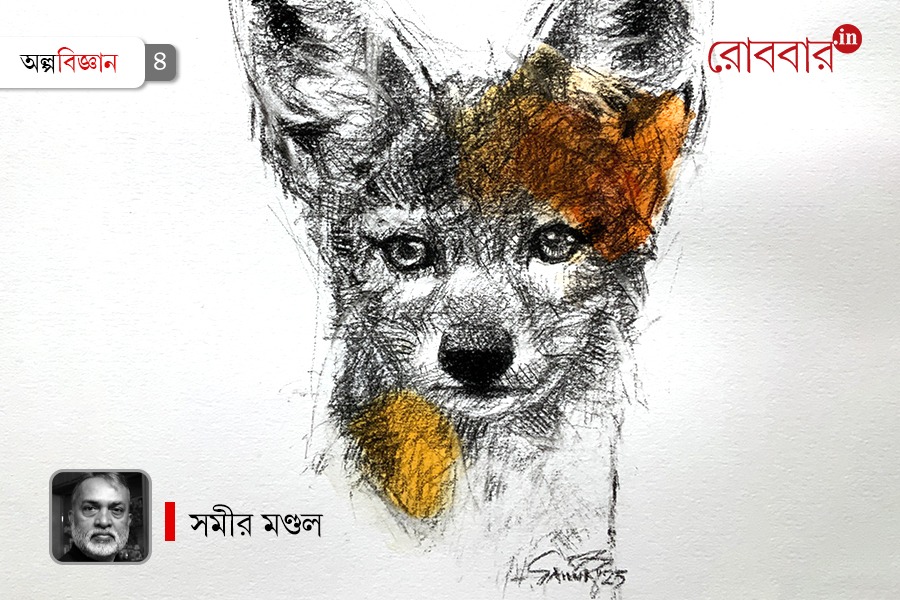Dogs and Jackals in Life and in culture | Robbar
