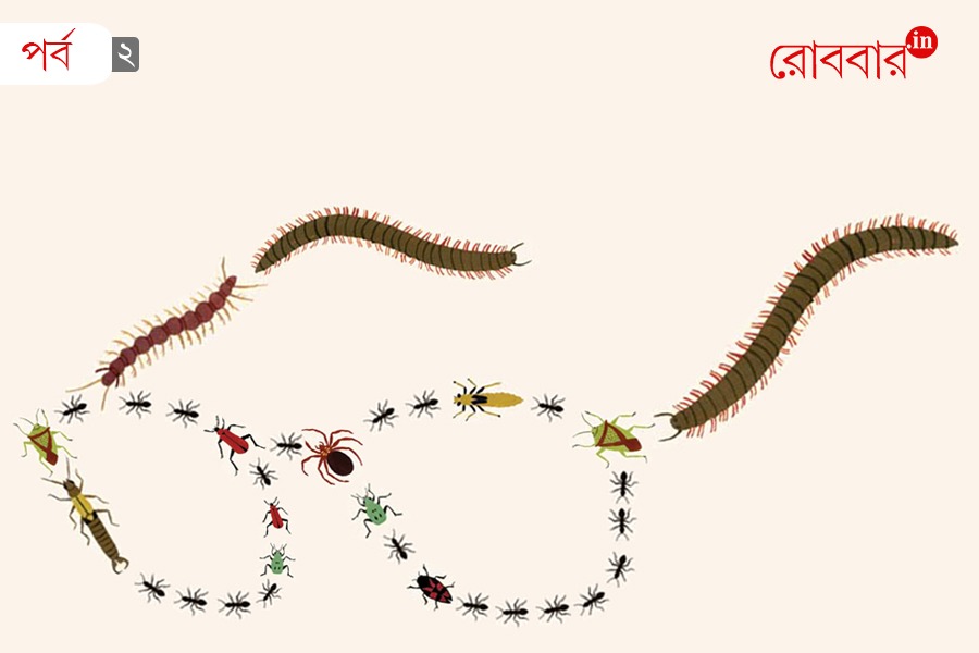 learning harmony of life from neighboring insects part two