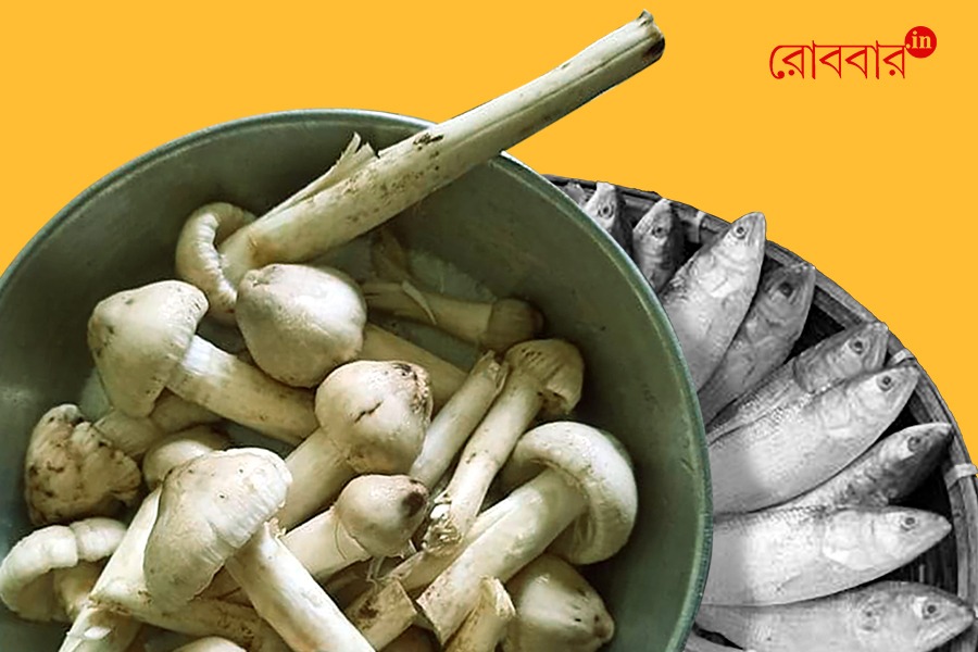 an article on durga grist। Robbar