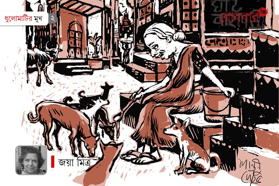 jaya mitra on strangers care for stray dogs। Robbar