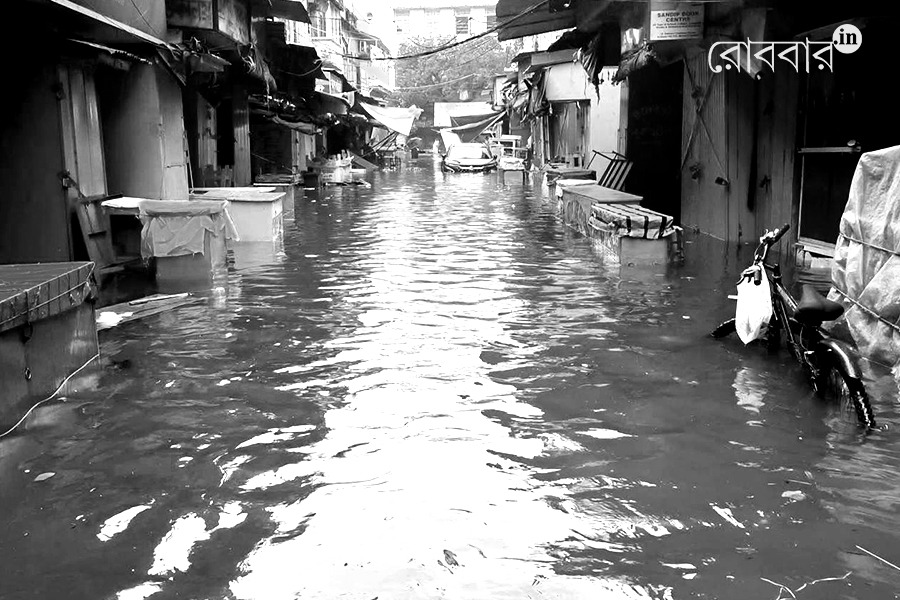 Security measures small publishers should take for rain | Robbar