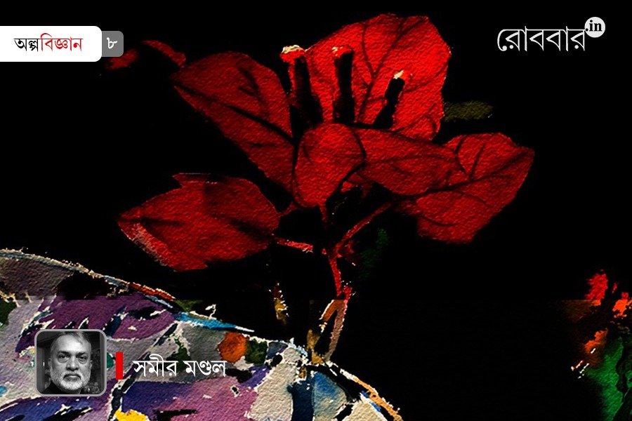 article on sculptures and art made from trash materials। Robbar