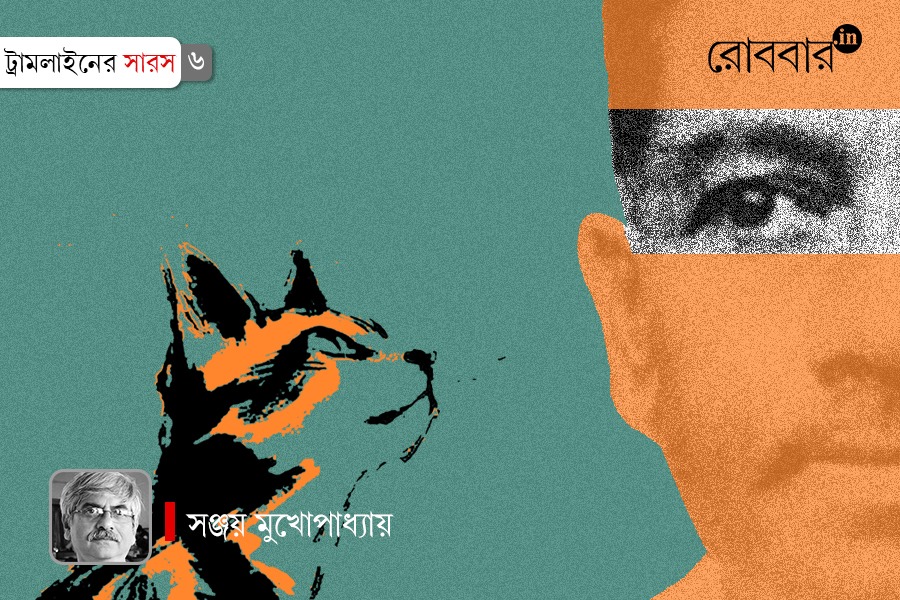 Jibanananda Das and cat: An encounter। Robbar