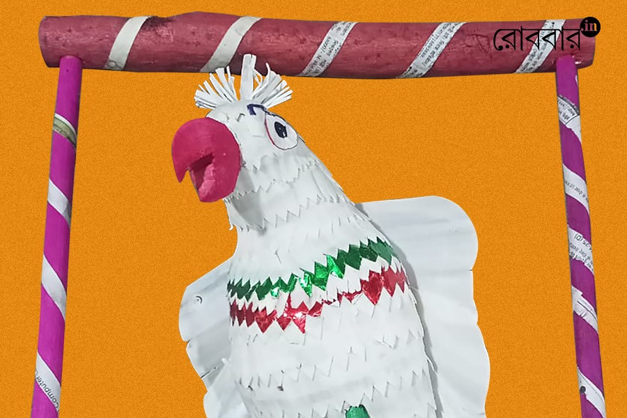 An article about rash yatra and dolls by Suvankar Das। Robbar