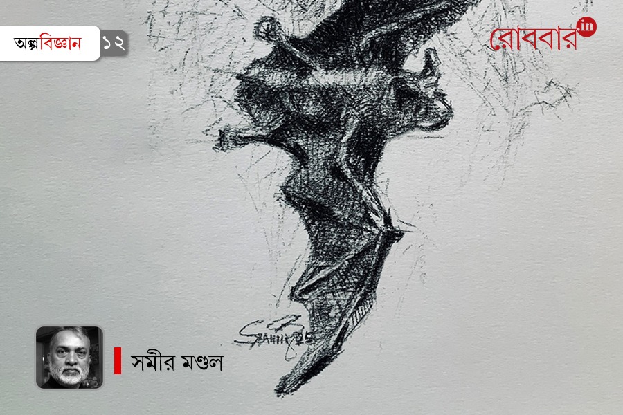 An article about soundwave communication in animals | Robbar