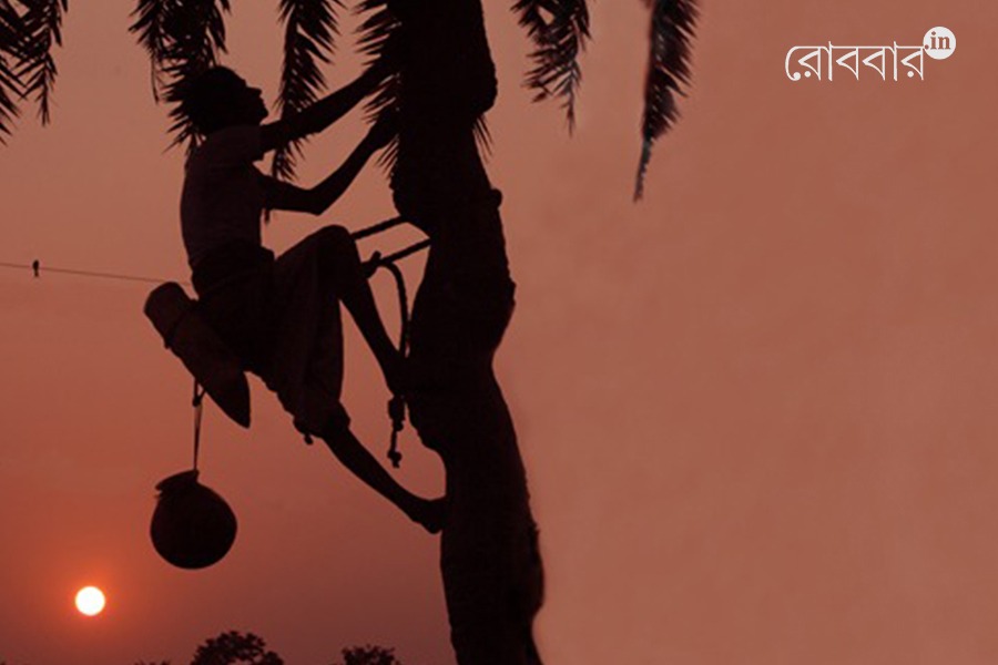 Goodbye bengals' pure nolen gur?। Robbar