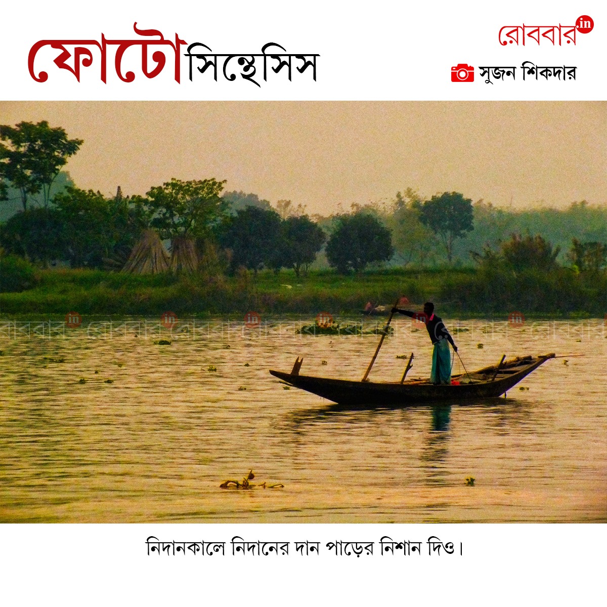 ফোটোসিন্থেসিস-861