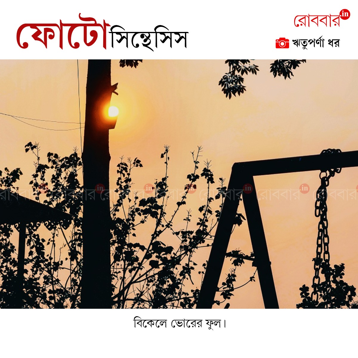 ফোটোসিন্থেসিস-865