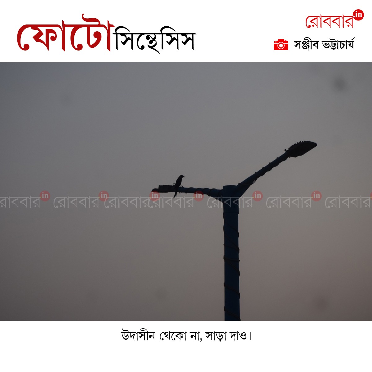 ফোটোসিন্থেসিস-866