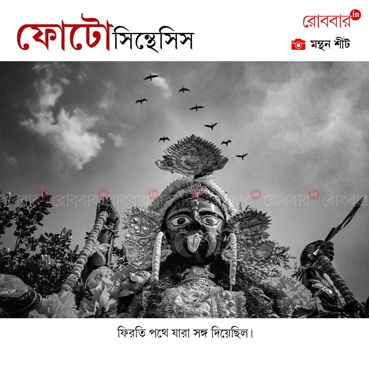 ফোটোসিন্থেসিস-873