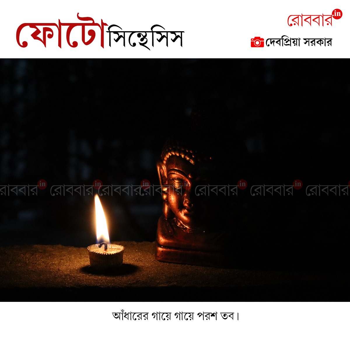 ফোটোসিন্থেসিস-874