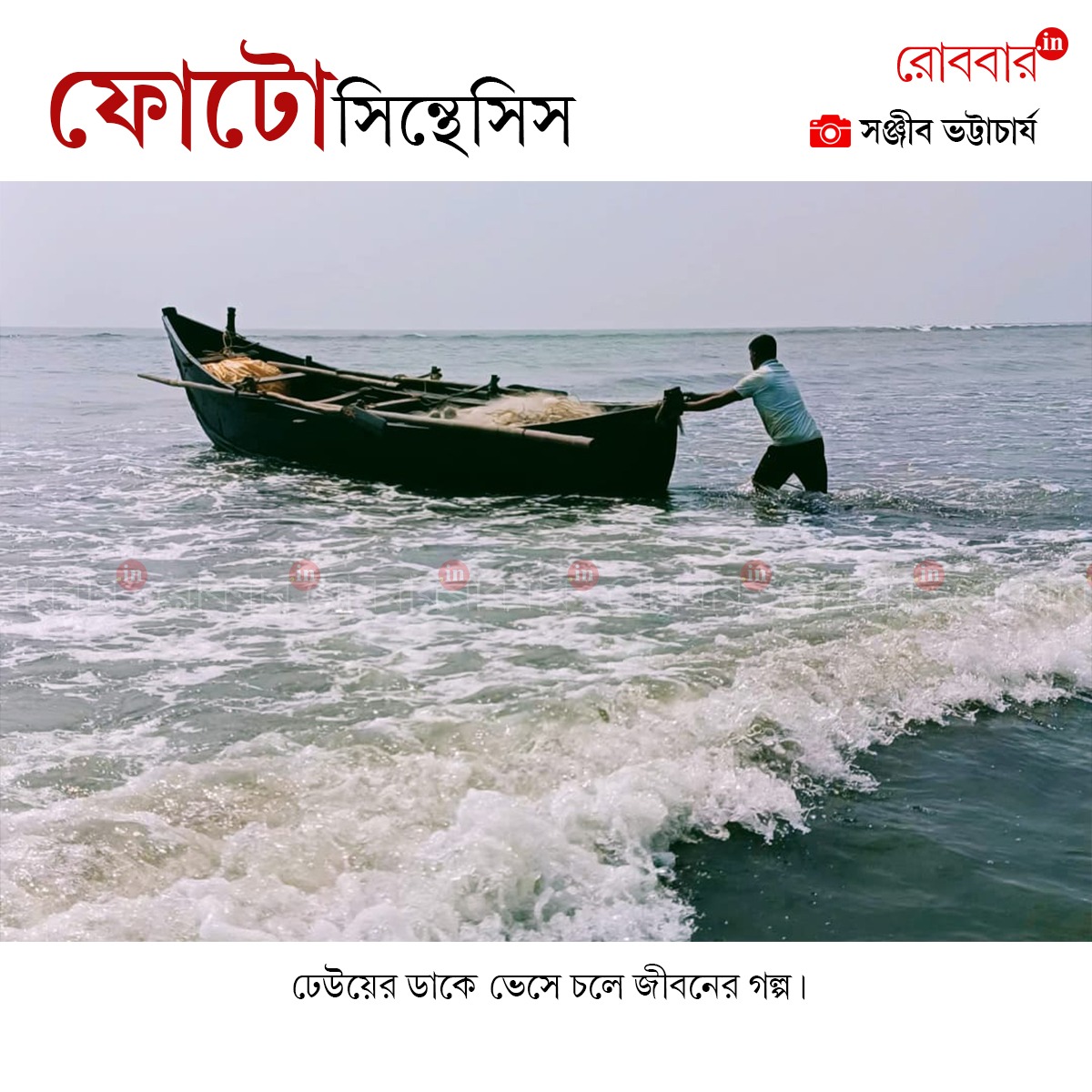 ফোটোসিন্থেসিস-875
