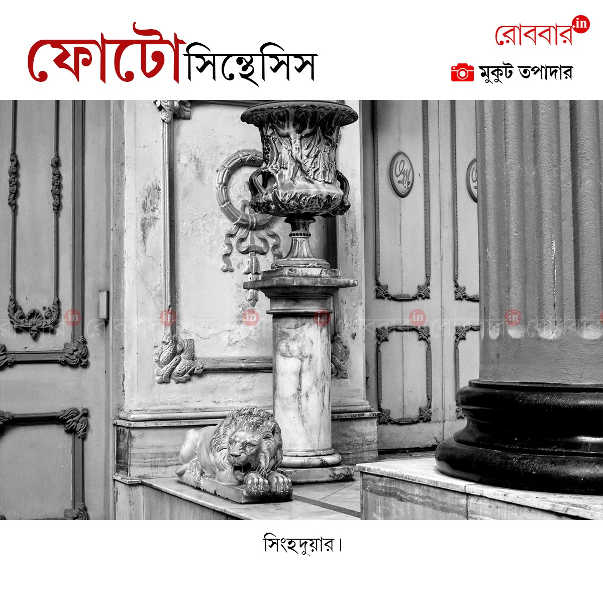 ফোটোসিন্থেসিস-876