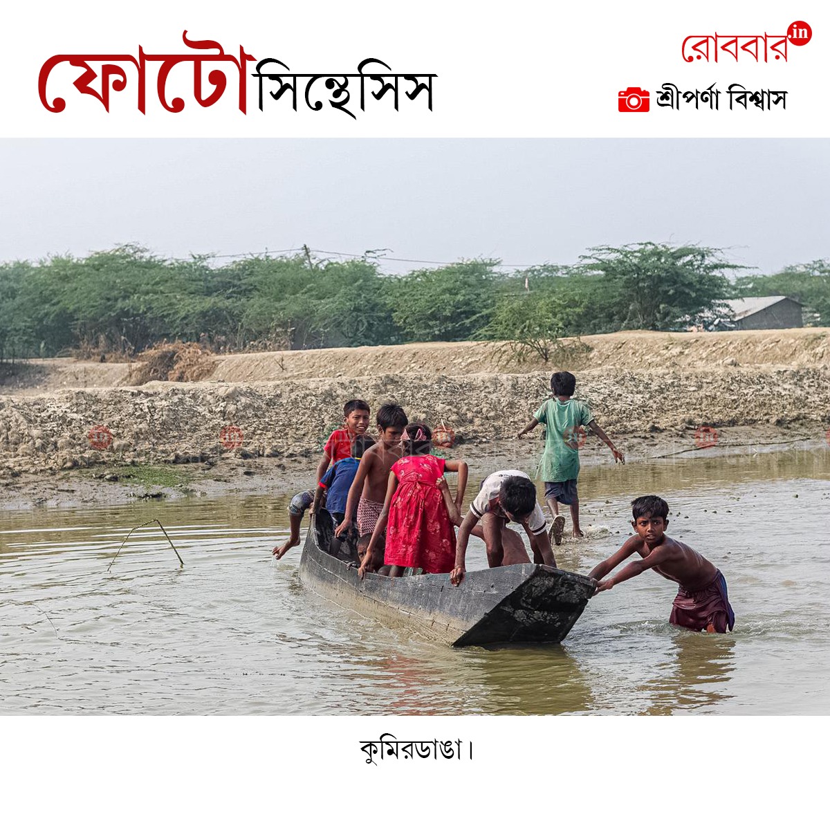 ফোটোসিন্থেসিস-879