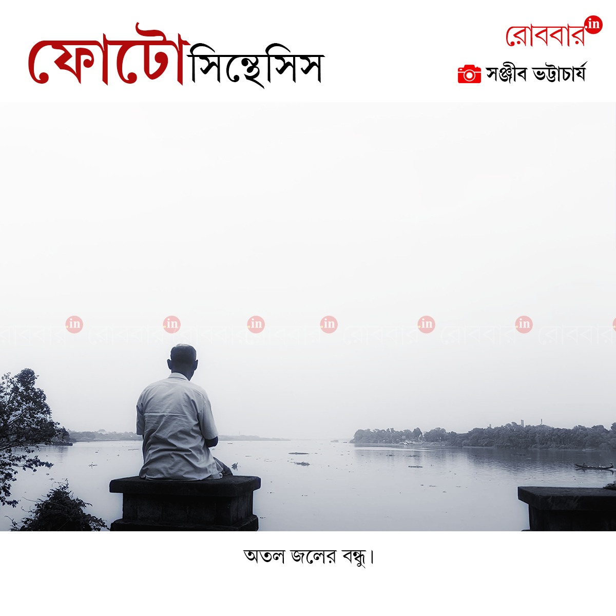 ফোটোসিন্থেসিস-880
