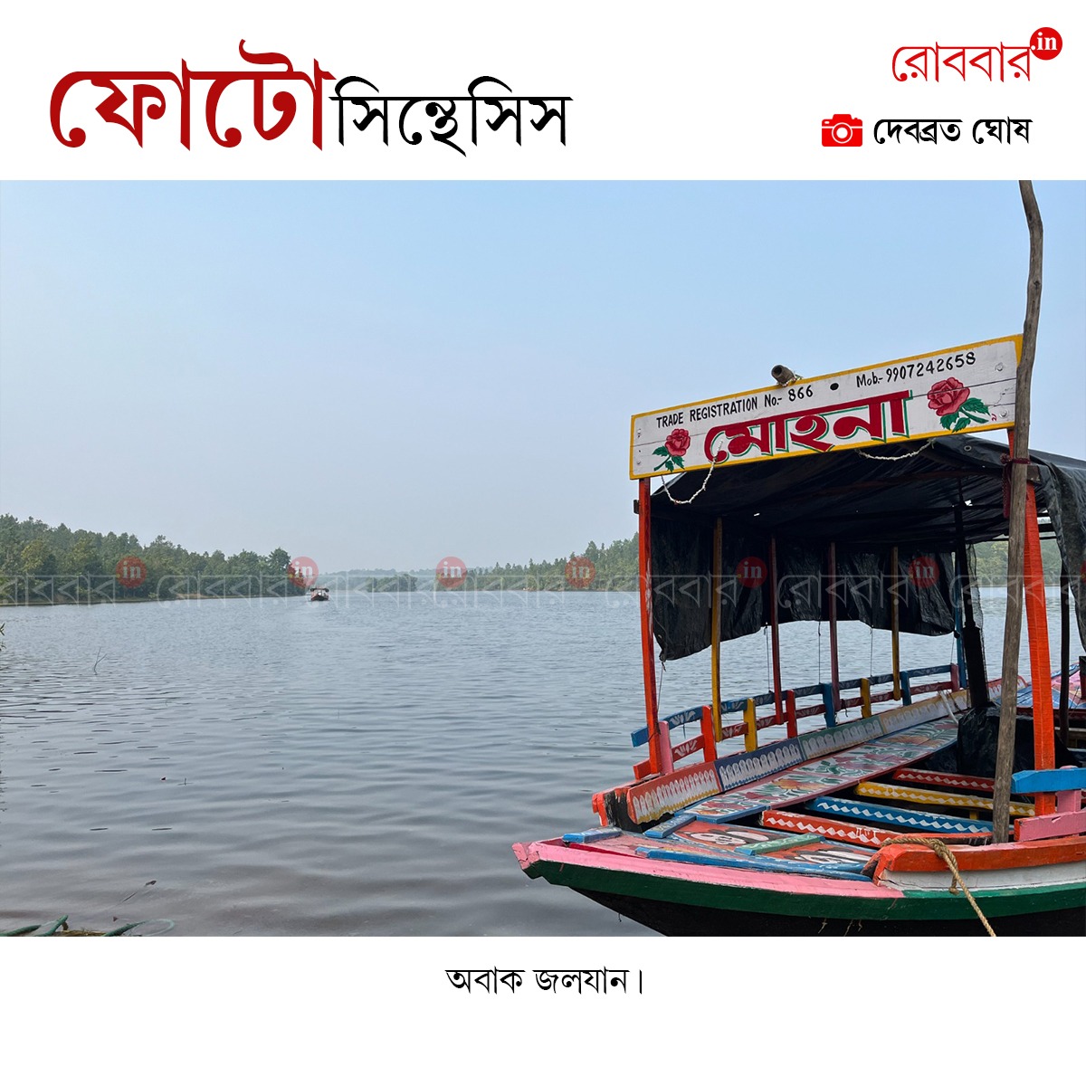 ফোটোসিন্থেসিস-881