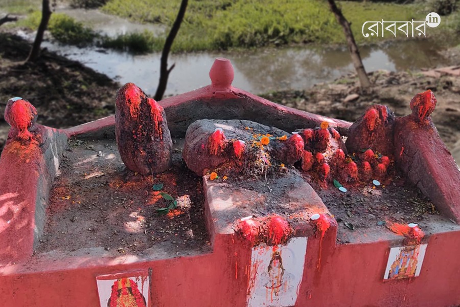 krishnachandi a local deity of maldah | Robbar