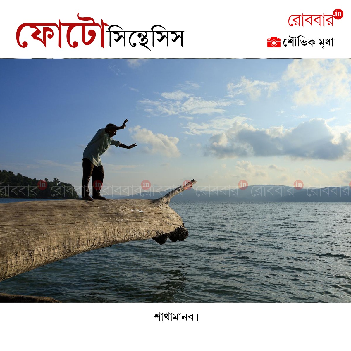 ফোটোসিন্থেসিস-883