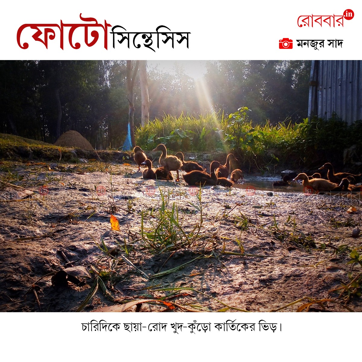 ফোটোসিন্থেসিস-885