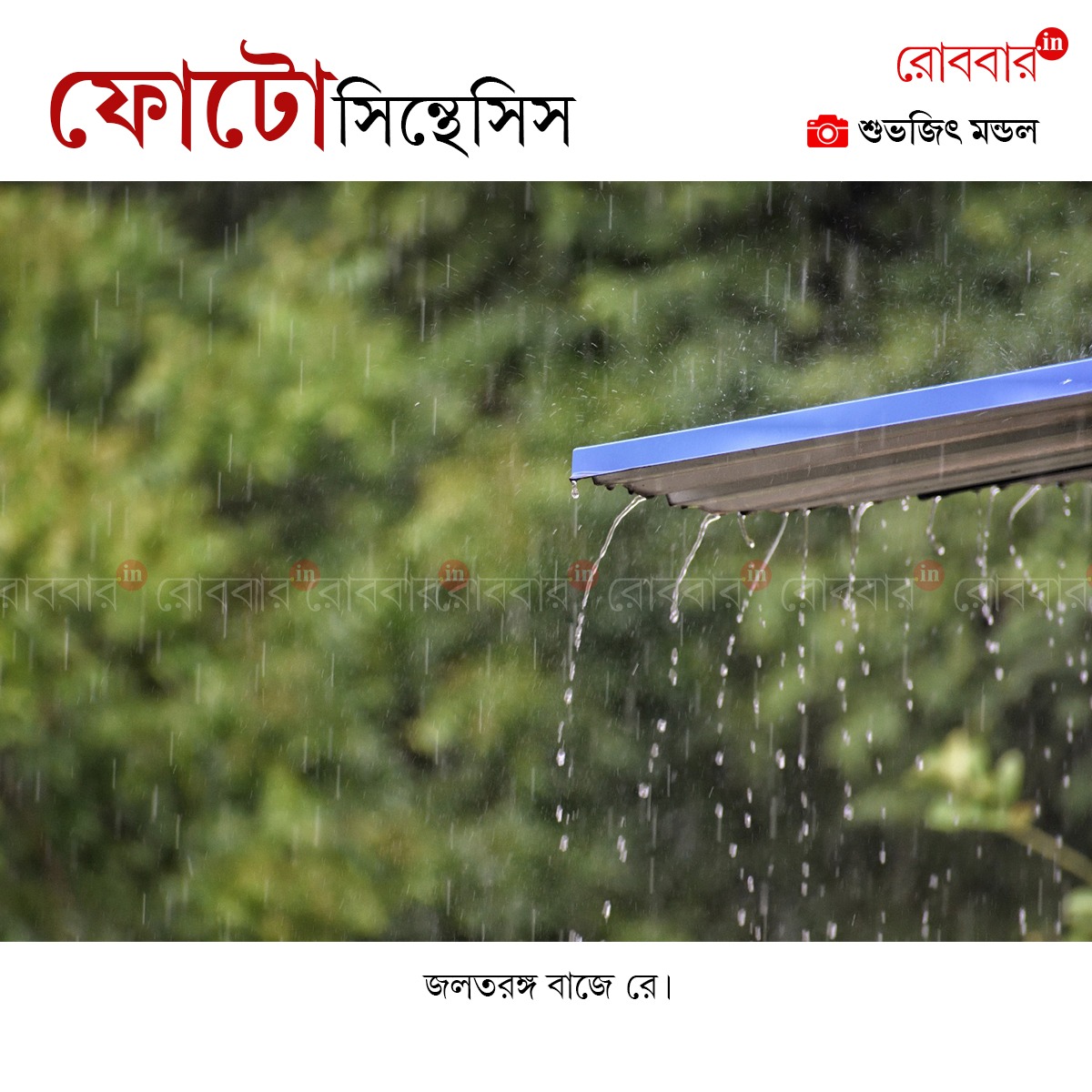 ফোটোসিন্থেসিস-887