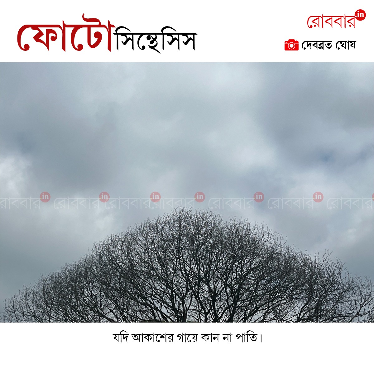 ফোটোসিন্থেসিস-889