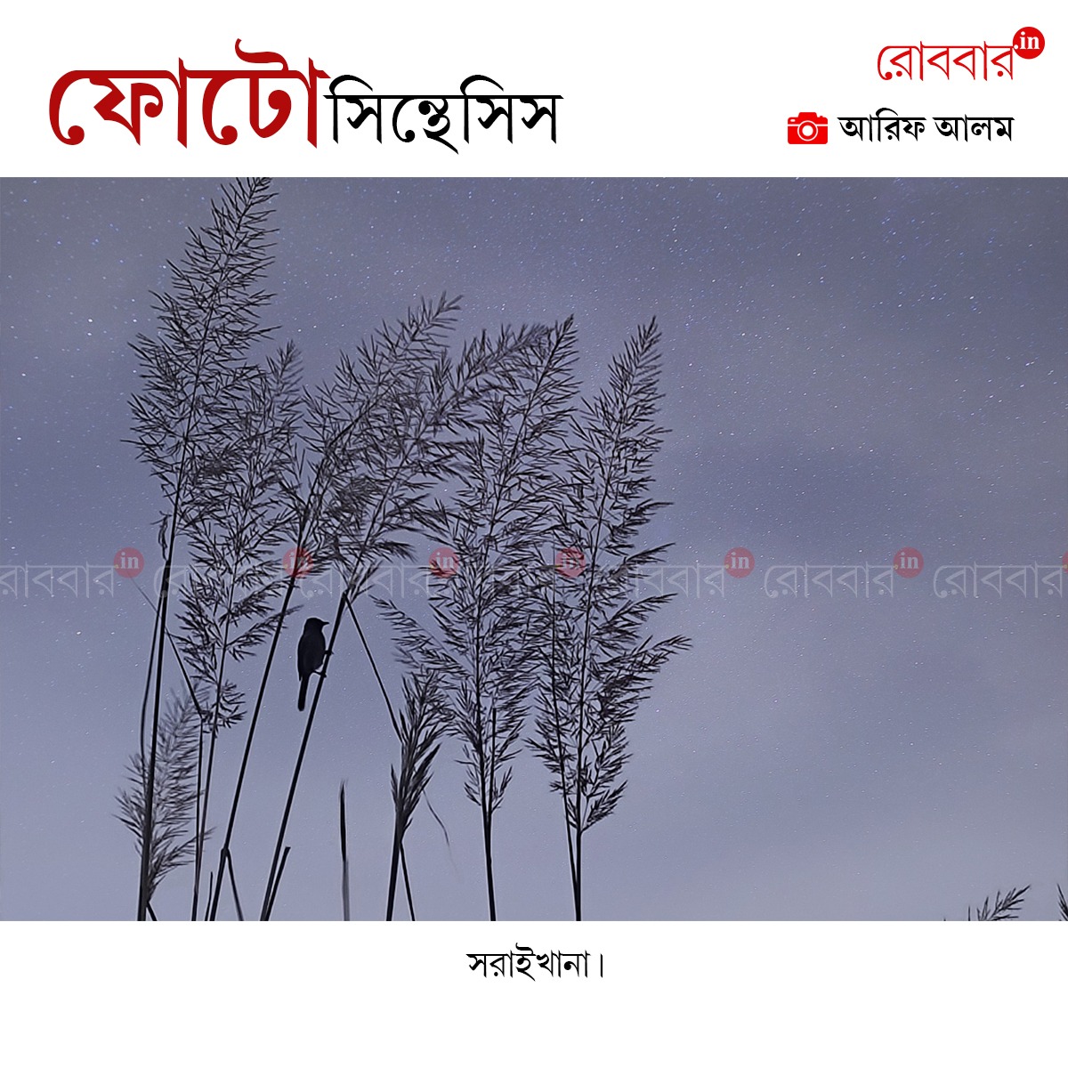 ফোটোসিন্থেসিস-890