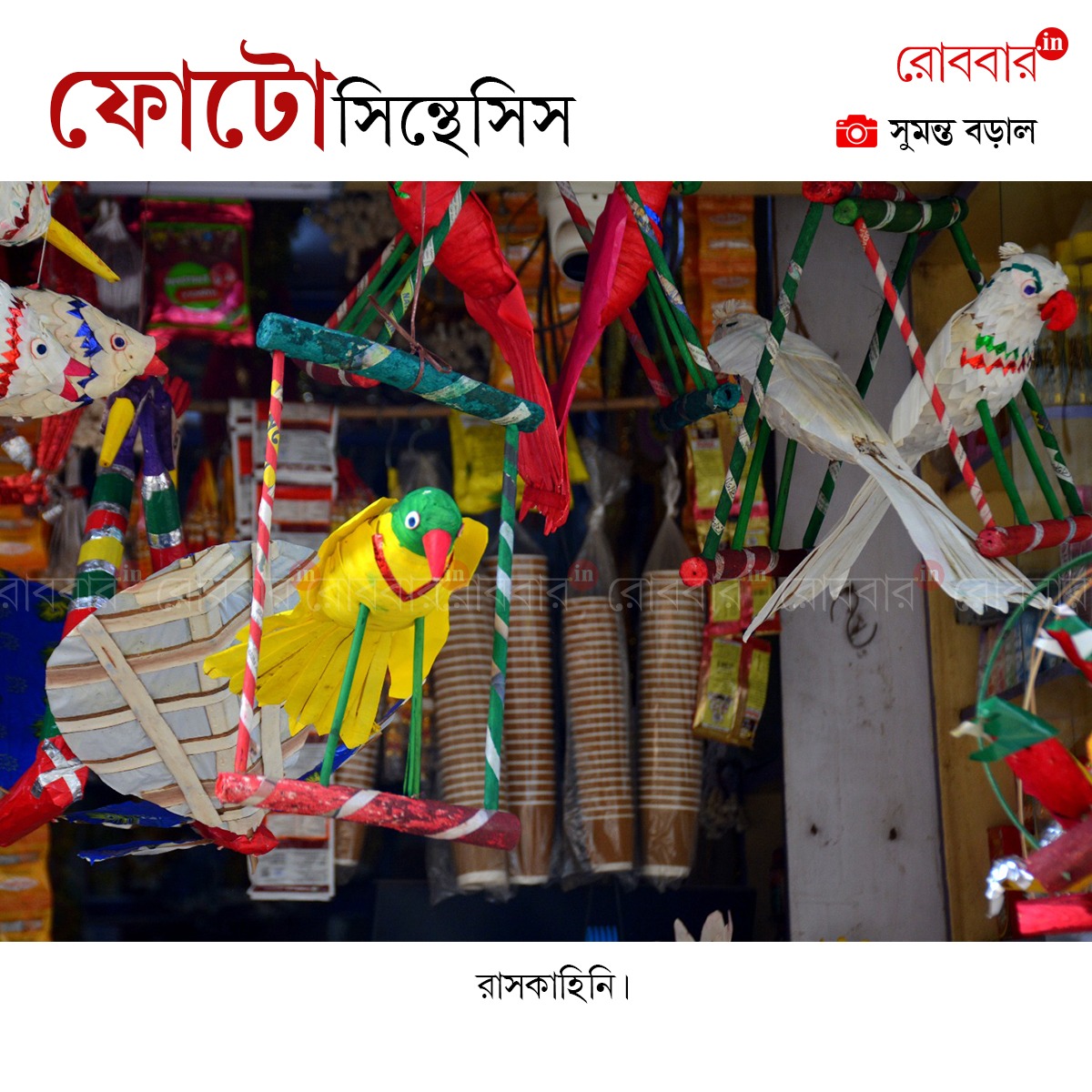 ফোটোসিন্থেসিস-892