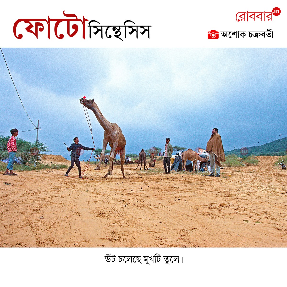 ফোটোসিন্থেসিস-893
