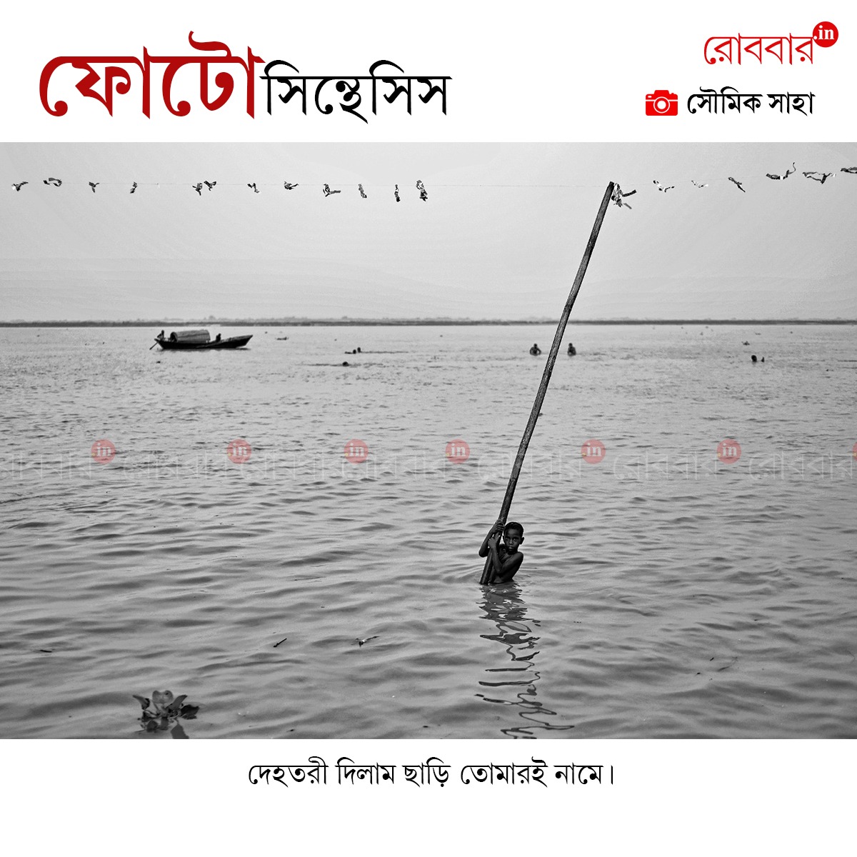 ফোটোসিন্থেসিস-897